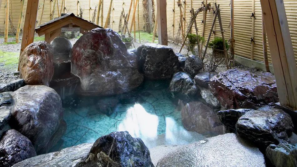 Echigo no Oyado Wakatake