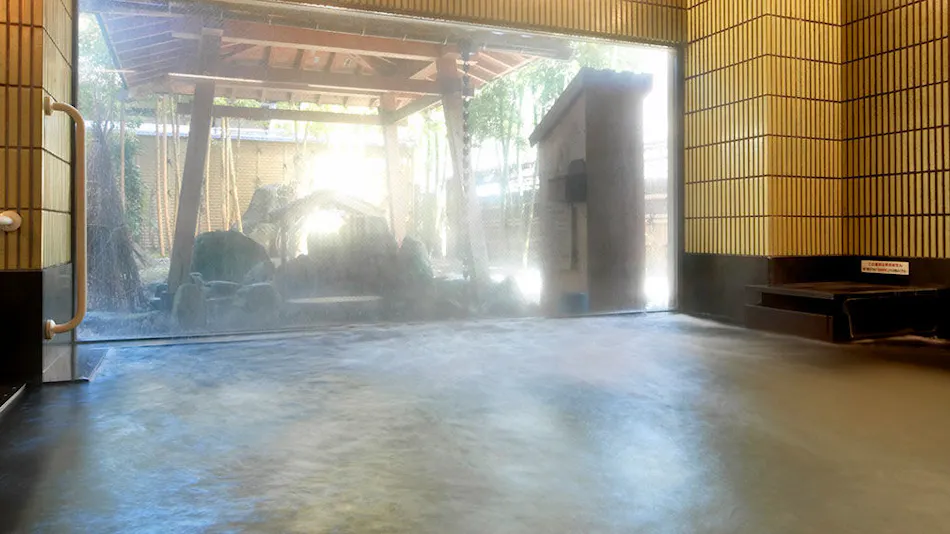 Echigo no Oyado Wakatake