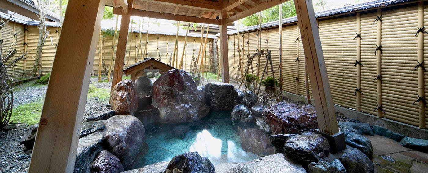 Echigo no Oyado Wakatake