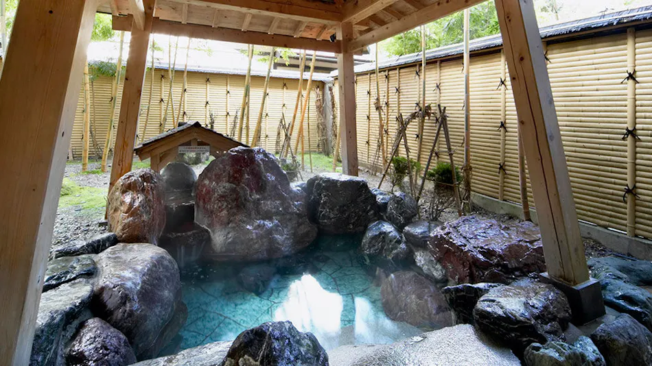 Echigo no Oyado Wakatake