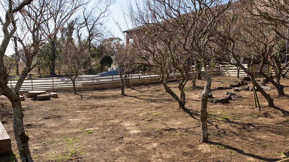 Pet-Friendly Accommodation CARO FORESTA Izu Kogen Cuore