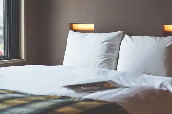 ตัวอย่างอาหาร