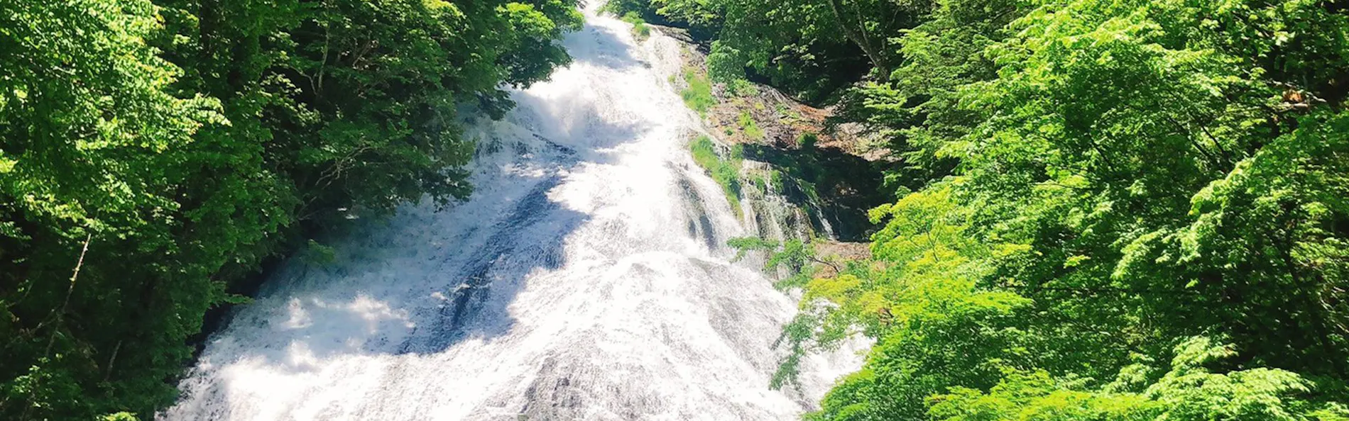 亀の井ホテル 奥日光湯元
