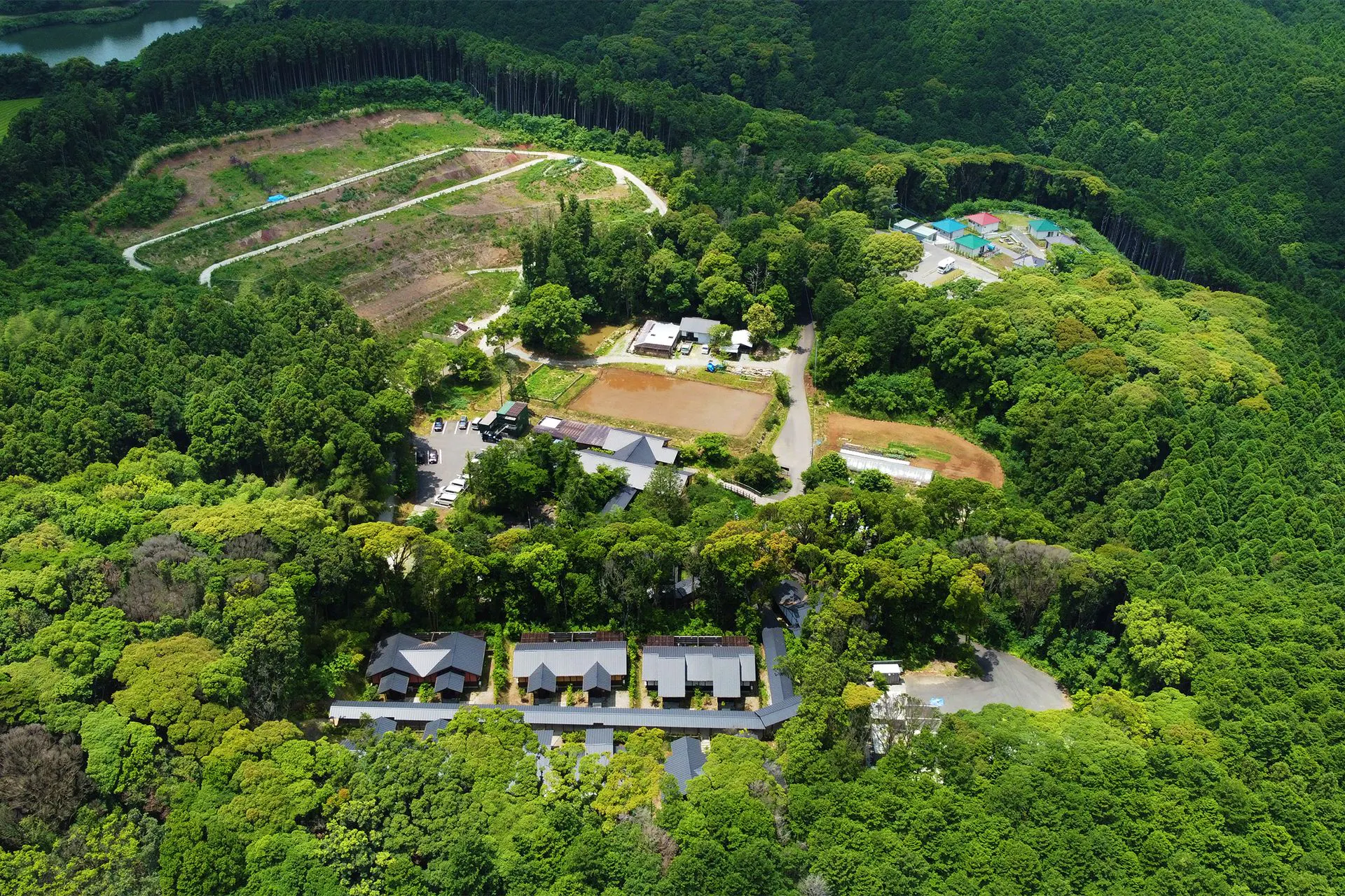 そのぎ茶温泉里山の湯宿 つわぶきの花