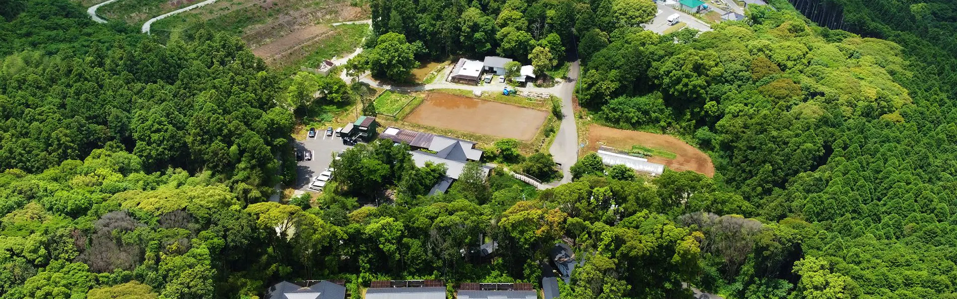 そのぎ茶温泉里山の湯宿 つわぶきの花