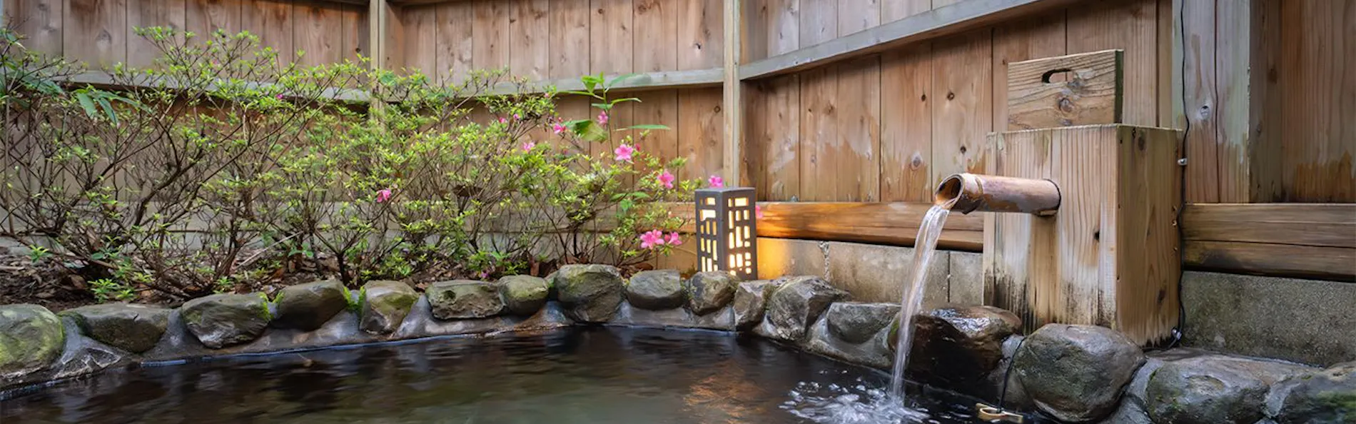 そのぎ茶温泉里山の湯宿 つわぶきの花