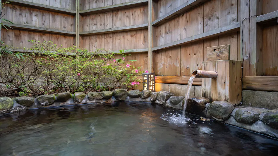 Sonogi Tea Onsen Satoyama no Yuyado Tsuwabuki no Hana