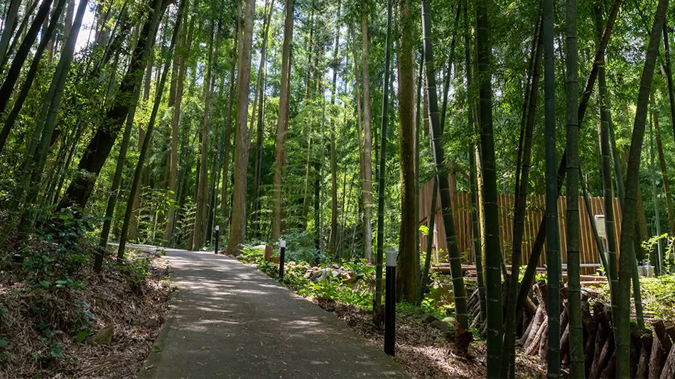 Sonogi Tea Onsen Satoyama no Yuyado Tsuwabuki no Hana