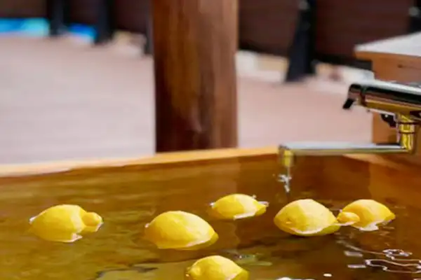 อ่างอาบน้ำกลางแจ้งแบบกึ่งเปิดโล่ง