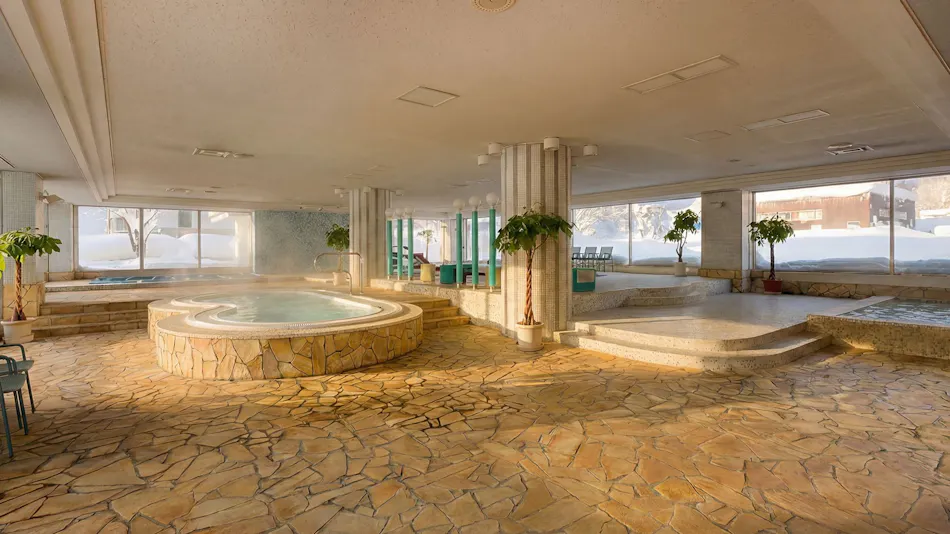 THE ALPS HOTEL HAKUBA