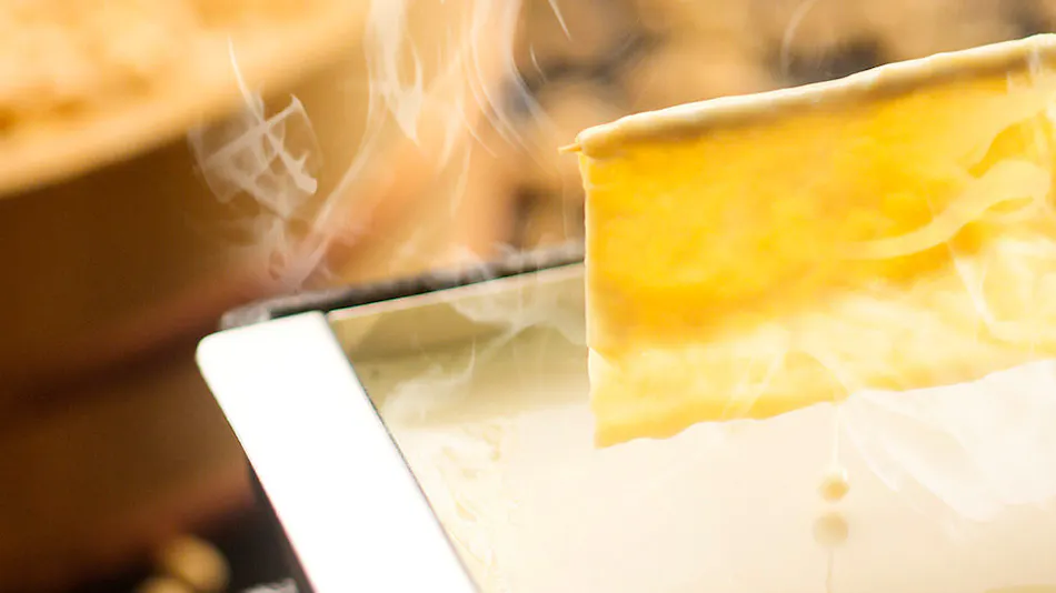 Tofu Kaiseki Sarugakyo Hotel