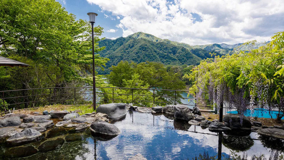 Tofu Kaiseki Sarugakyo Hotel