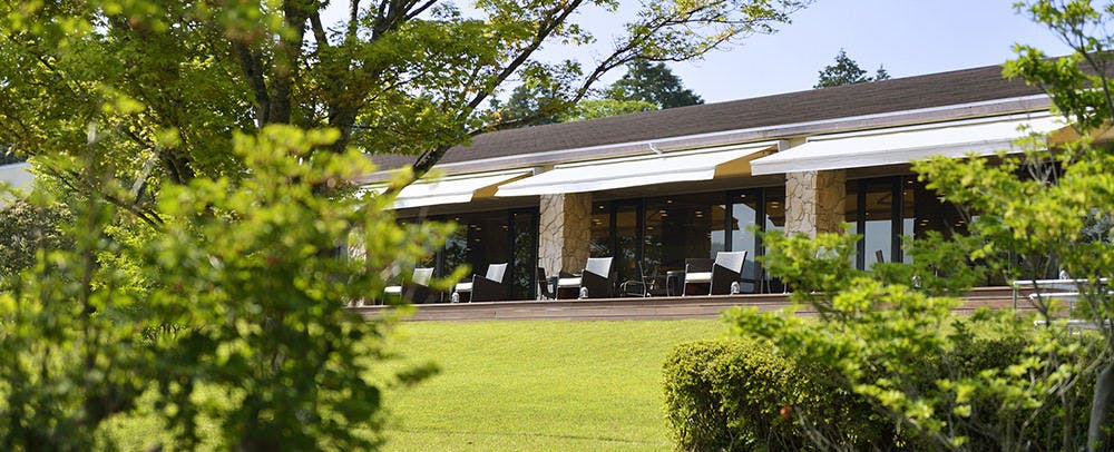 è§£æ¾æã®ãããã©ã¹