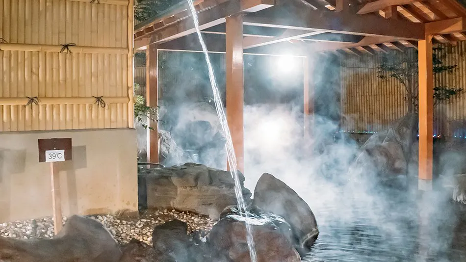 Chateraise Hotel Ryokan Fujinoya