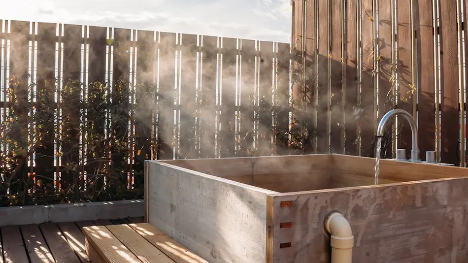 Chateraise Hotel Ryokan Fujinoya