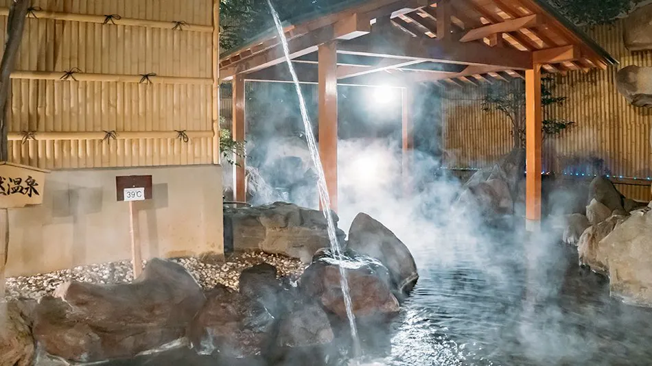 Chateraise Hotel Ryokan Fujinoya