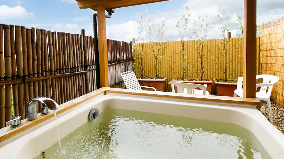 Chateraise Hotel Ryokan Fujinoya