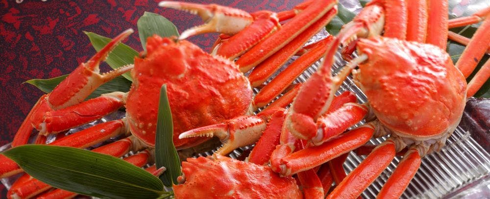 ※冬の味覚　ずわい蟹イメージ