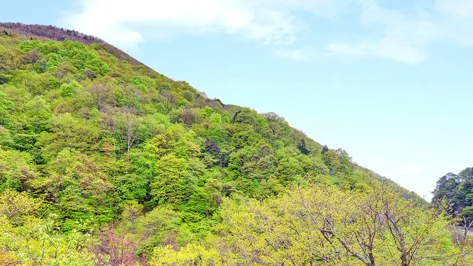 Goshiki Onsen Goshiki no Yu Ryokan