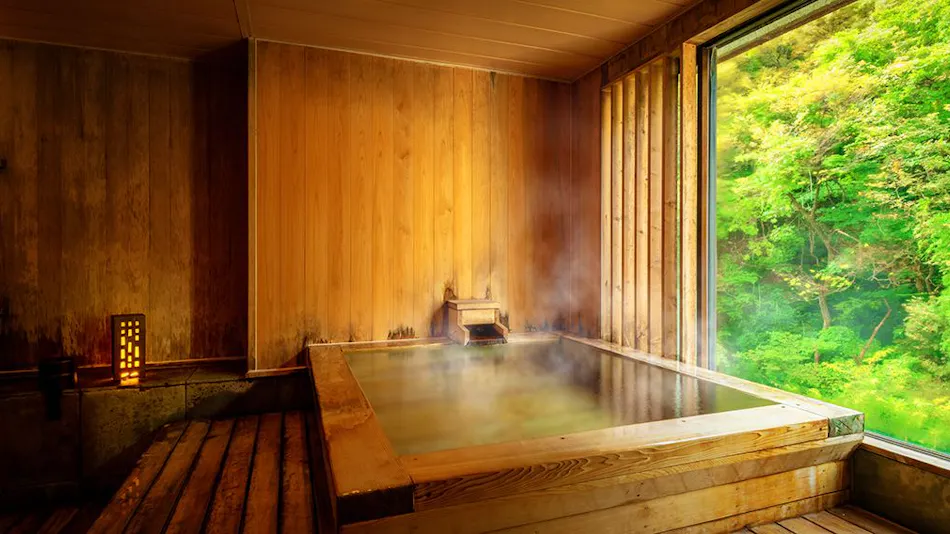Harataki Inn with Private Hot Spring Source