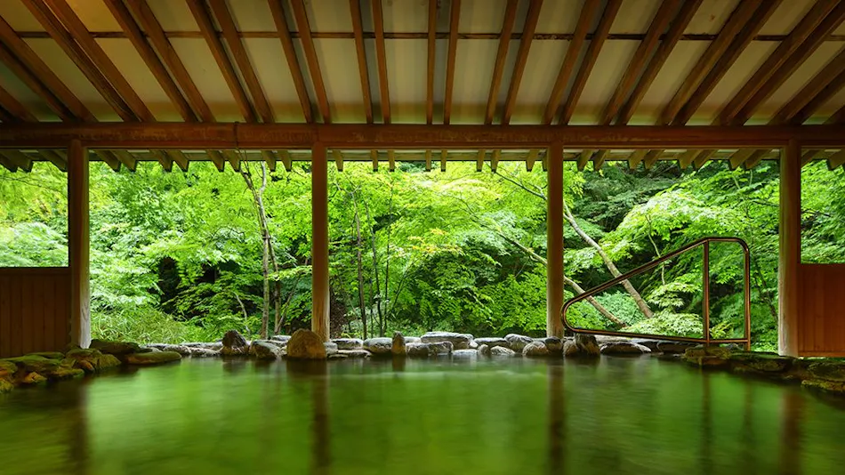 Harataki Inn with Private Hot Spring Source