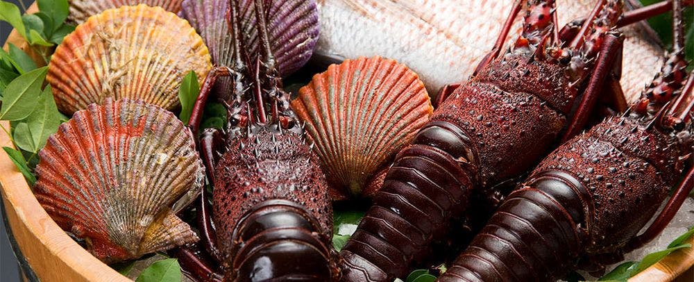 ตัวอย่างอาหาร