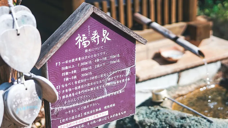 Fukujuso Inn with Kazemachi Hot Spring