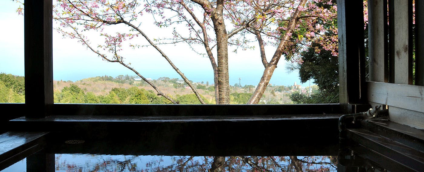 伊豆 ふじ よし