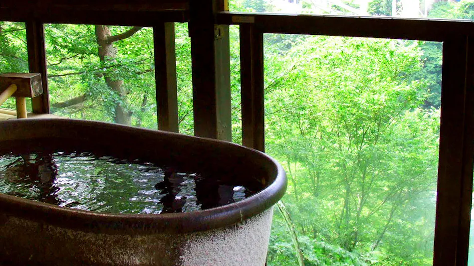 Kinugawa Park Hotels