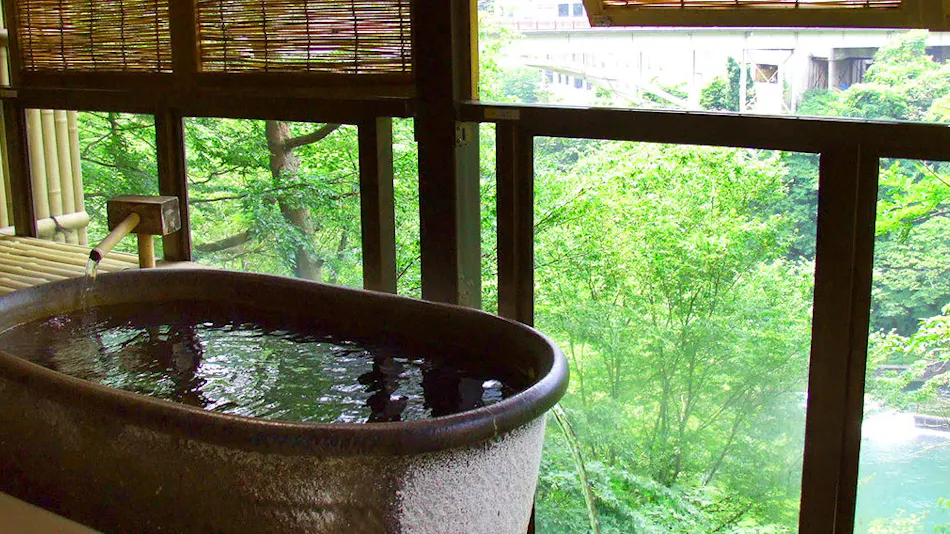 Kinugawa Park Hotels