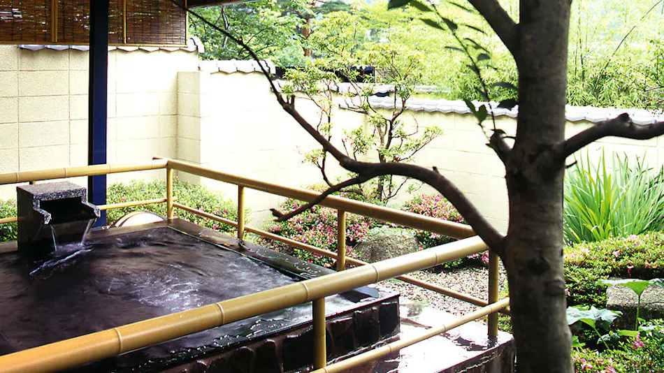 Kinugawa Park Hotels