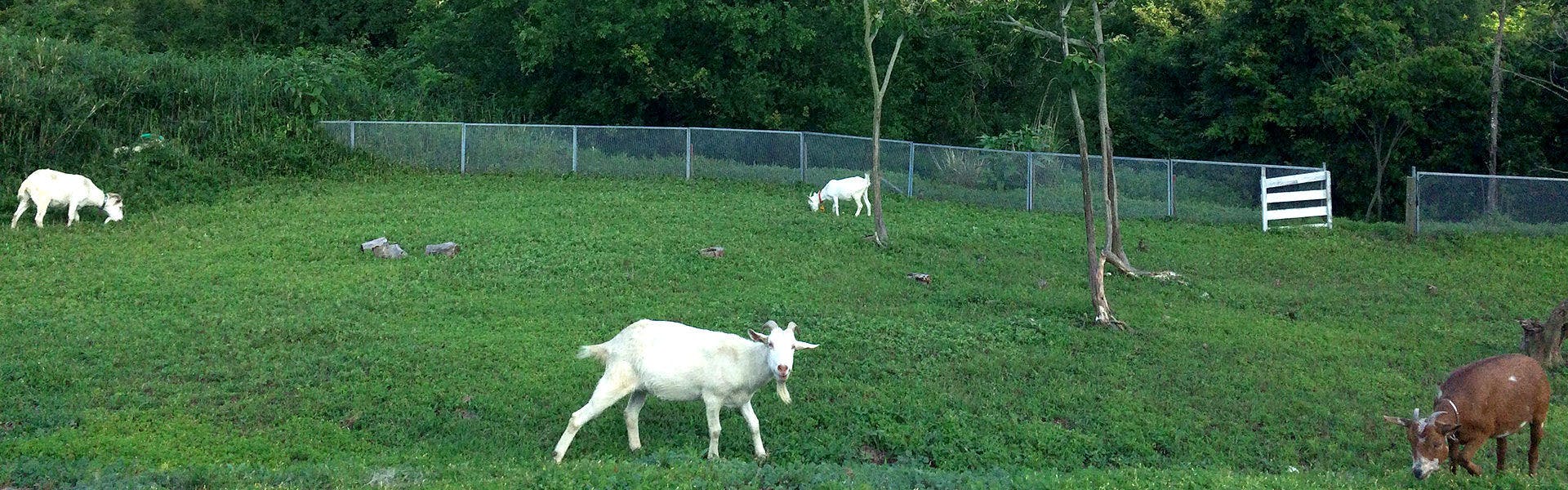 ペンション　くろしお丸