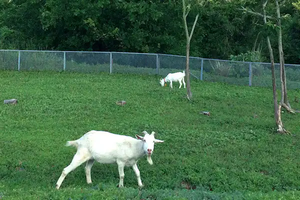 ภายในสิ่งอำนวยความสะดวก