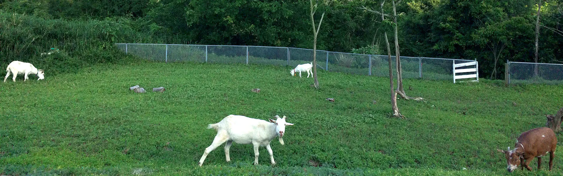 ペンション くろしお丸