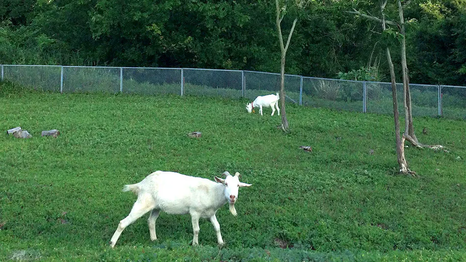 Pension Kuroshio Maru