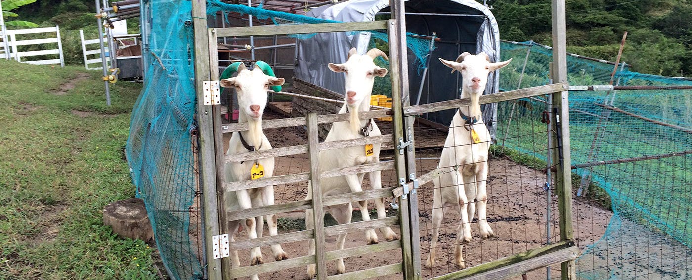 Pension Kuroshio Maru