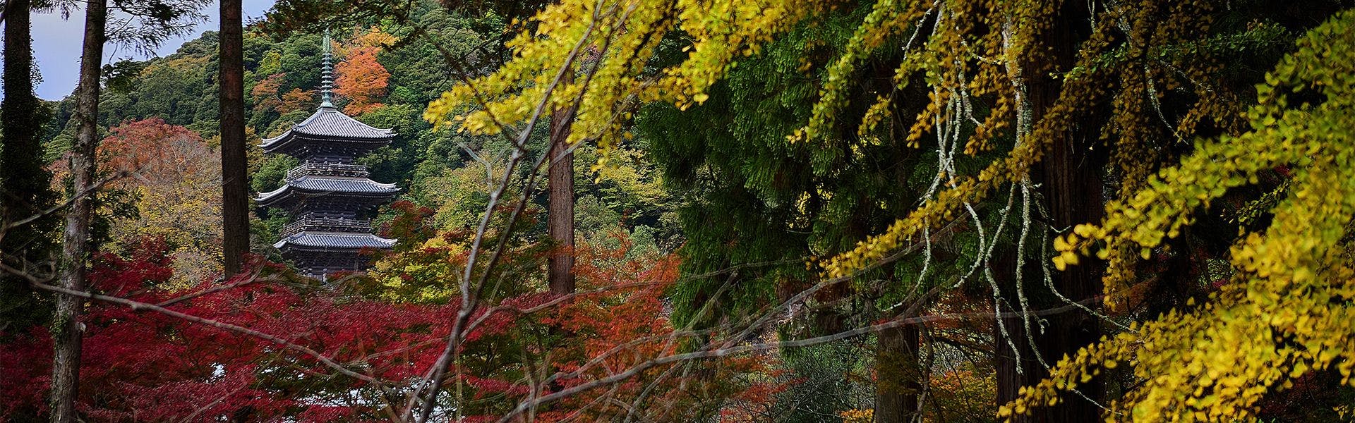 境内の宿 紅葉館