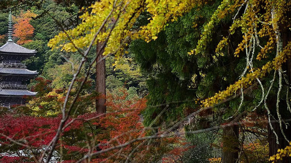 Kyoukai no Yado Kouyoukan