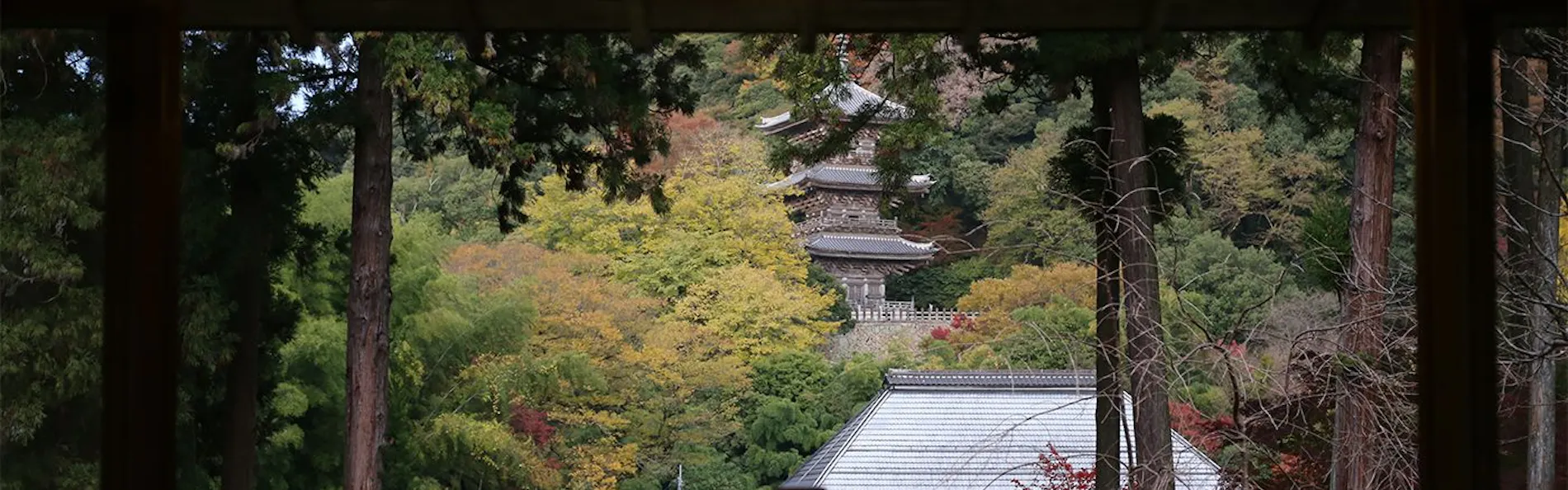 境内の宿 紅葉館