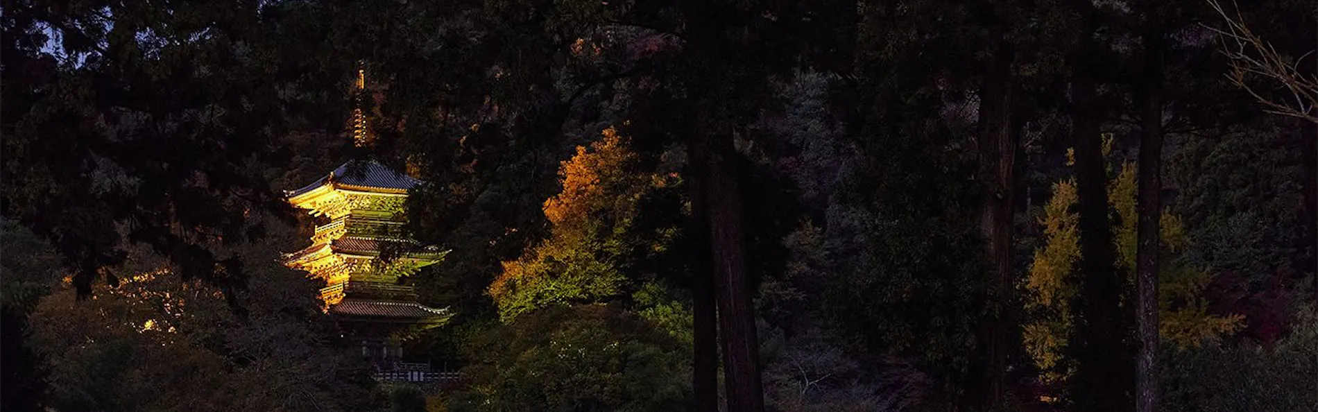 境内の宿 紅葉館