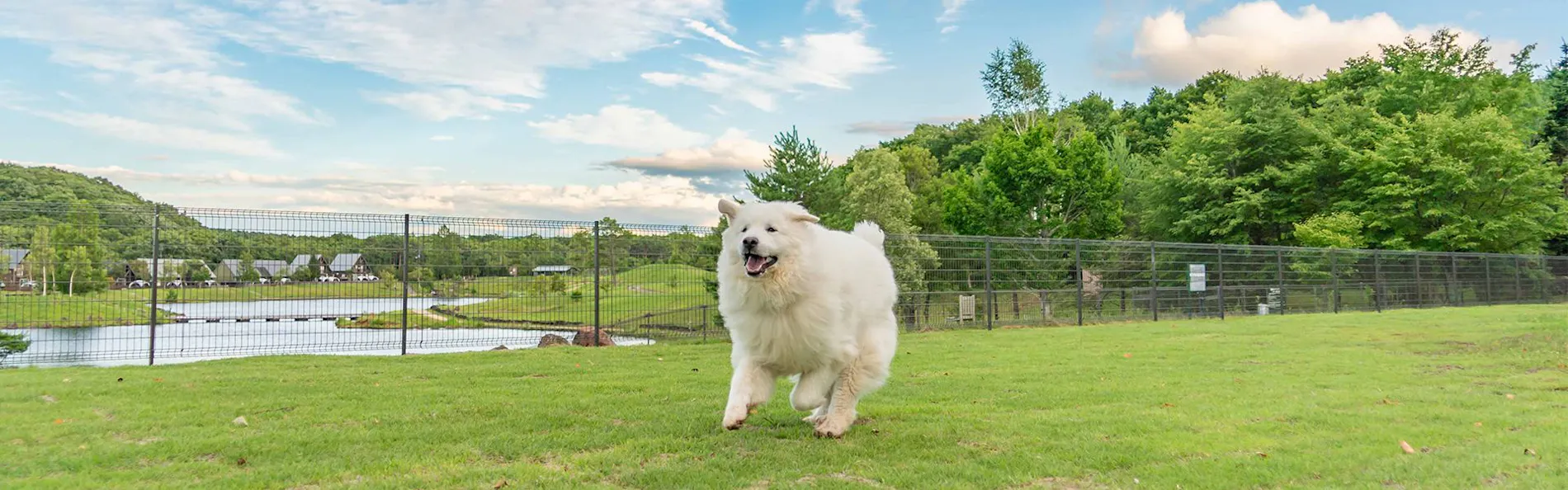 エンゼルフォレスト白河高原