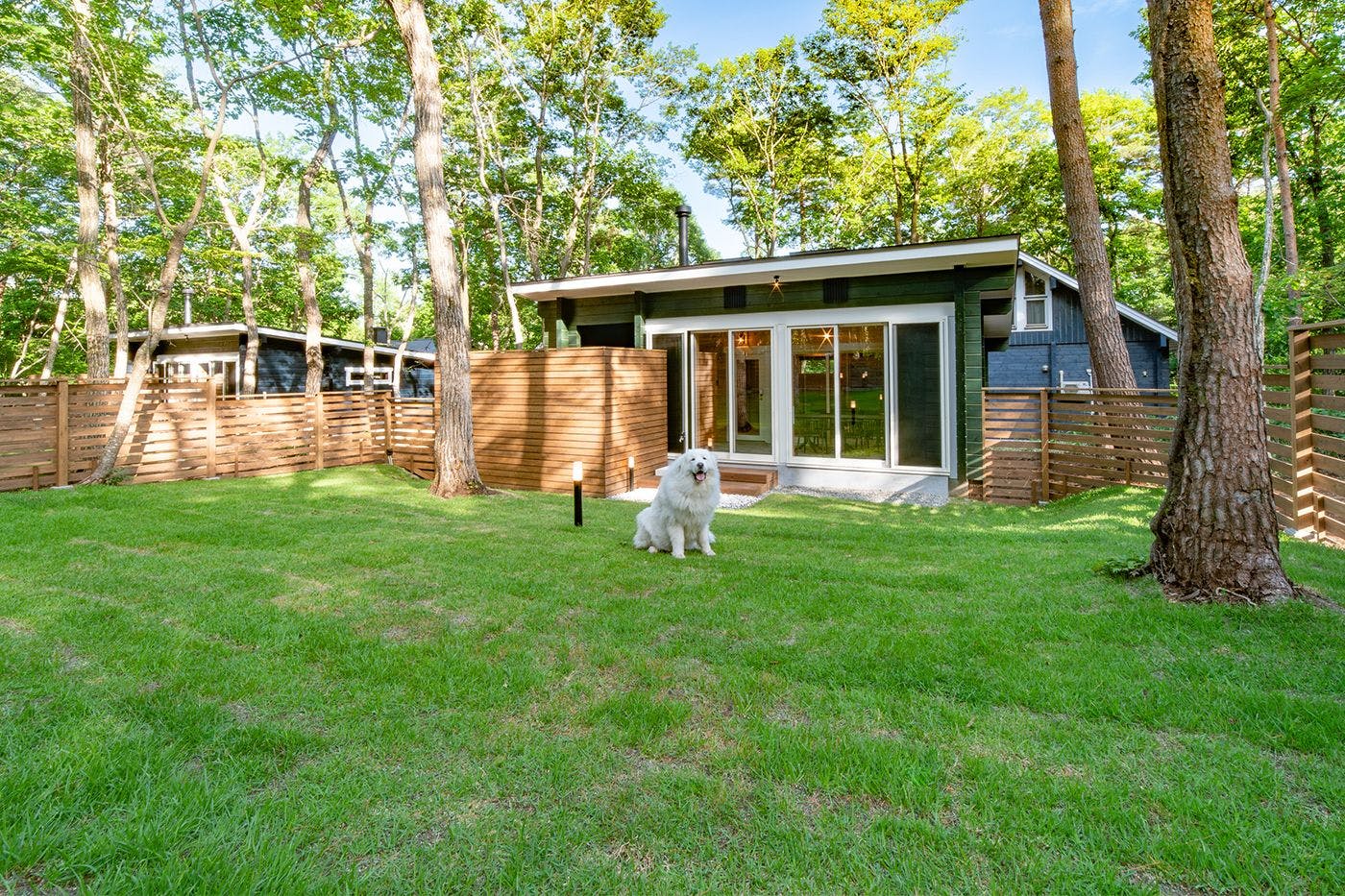 สนามวิ่งเล่นสำหรับสุนัข