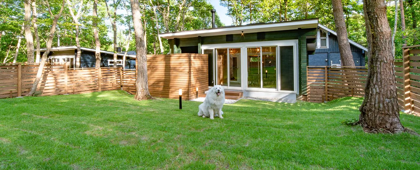 สนามวิ่งเล่นสำหรับสุนัข