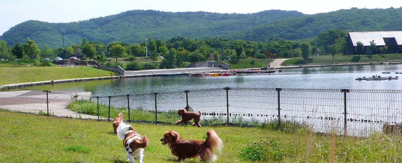 ペットと泊まれる宿 人気の宿をランキングでご紹介 Yahoo トラベル