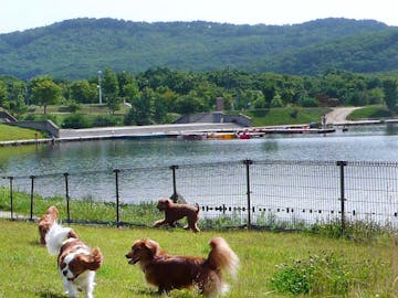 ペットと泊まれる宿 人気の宿をランキングでご紹介 Yahoo トラベル ペットと泊まれる宿 人気の宿をランキングでご紹介 Yahoo トラベル