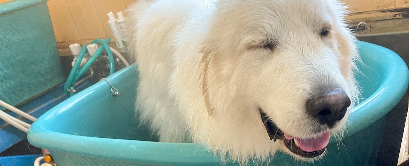 エンゼルフォレスト白河高原