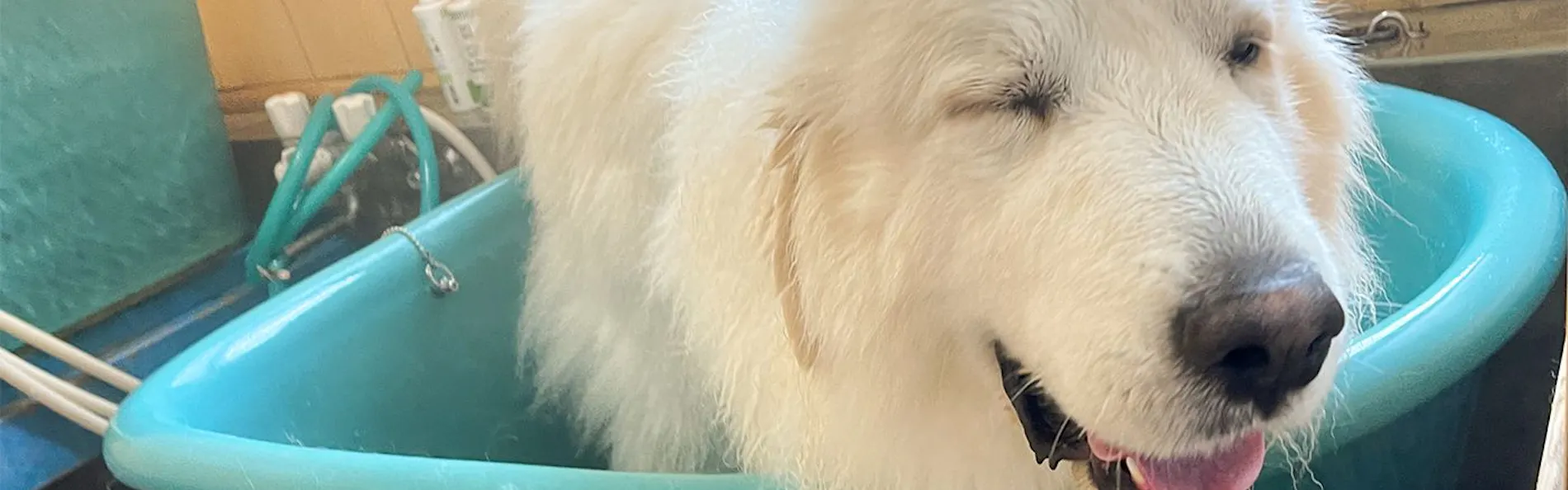 エンゼルフォレスト白河高原