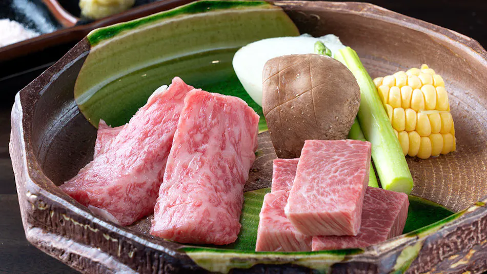Gujo Hachiman Hotel Sekisuien