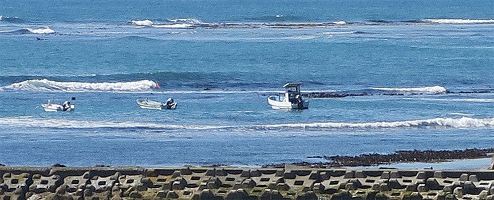 アワビ漁解禁（6月）