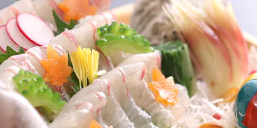 伊勢神宮のお膝元 鳥羽 胡蝶蘭